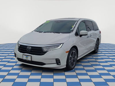2024 Honda Odyssey Elite